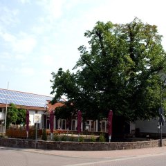 Bimbach Landgasthof Zur Linde mit Biergarten