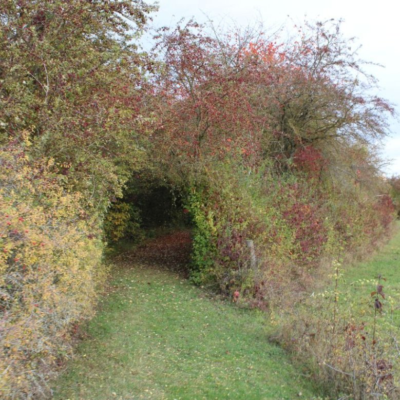 Wandern am Lüdertaler - Langenberg