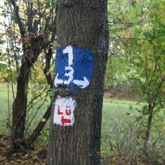 Wandern am Lüdertaler - Langenberg -Beschilderung der Wanderwege