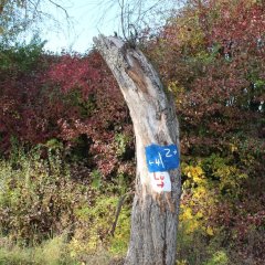 Wandern am Lüdertaler - Langenberg - Beschilderung der Wanderwege